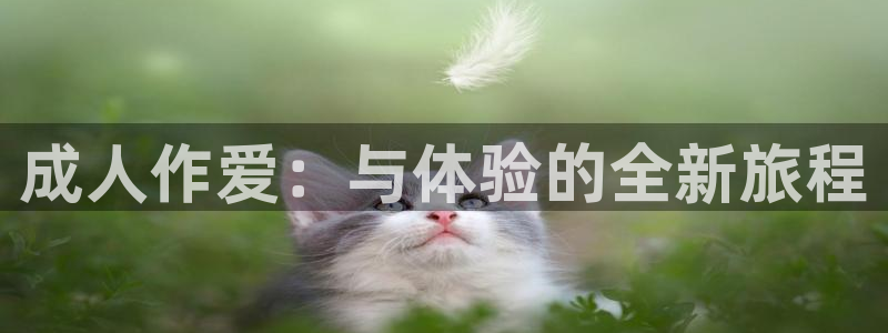 秋霞电影网在线影院播放