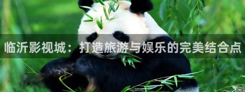 秋霞影院电视剧在线观看全集免费播放下载